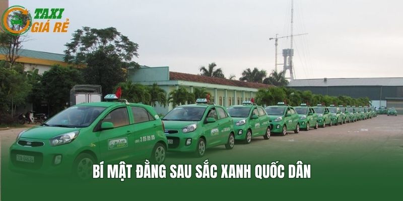 Bí mật đằng sau sắc xanh quốc dân