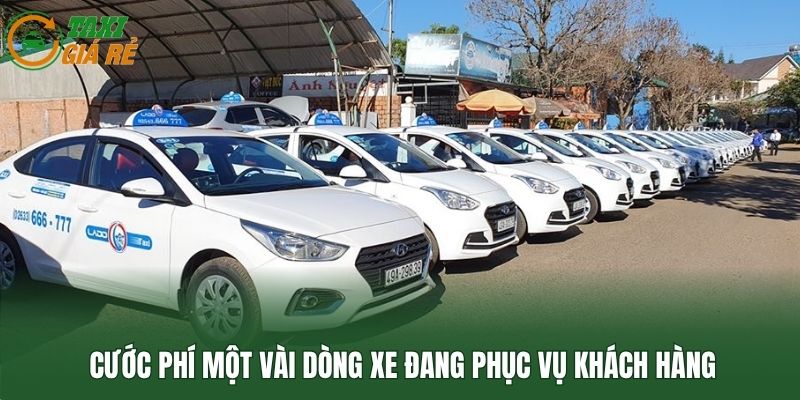 Cước phí một vài dòng xe đang phục vụ khách hàng