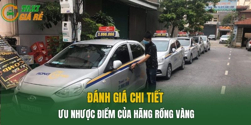 Đánh giá chi tiết ưu nhược điểm của hãng Rồng Vàng