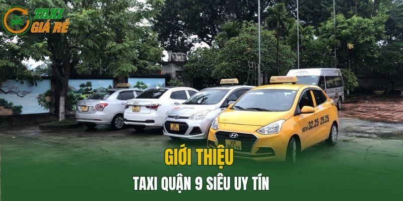 Giới thiệu Taxi Quận 9 siêu uy tín