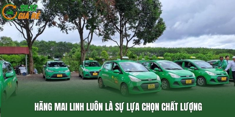 Hãng Mai Linh luôn là sự lựa chọn chất lượng