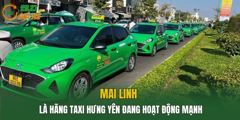 Mai Linh là hãng Taxi Hưng Yên đang hoạt động mạnh