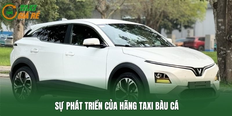 Sự phát triển của hãng taxi Bàu Cá