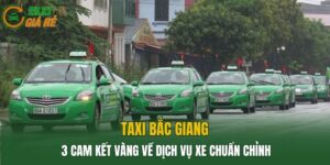 Taxi Bắc Giang