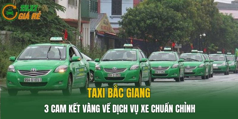 Taxi Bắc Giang