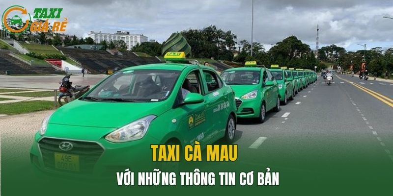 Taxi Cà Mau với những thông tin cơ bản