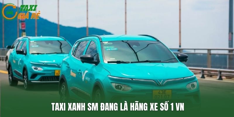 Taxi Xanh SM đang là hãng xe số 1 VN