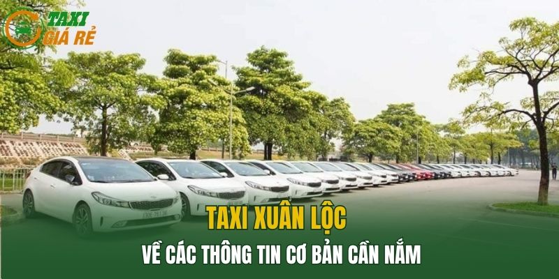 Taxi Xuân Lộc về các thông tin cơ bản cần nắm