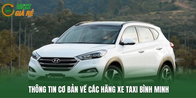 Thông tin cơ bản về các hãng xe taxi Bình Minh