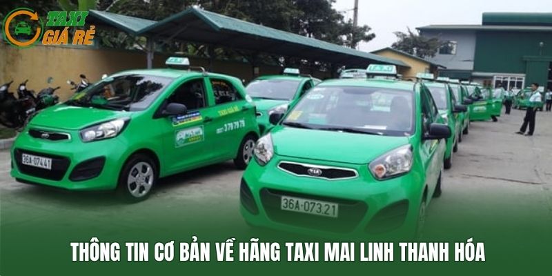 Thông tin cơ bản về hãng taxi Mai Linh Thanh Hóa