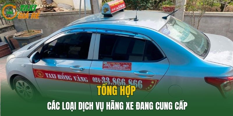 Tổng hợp các loại dịch vụ hãng xe đang cung cấp