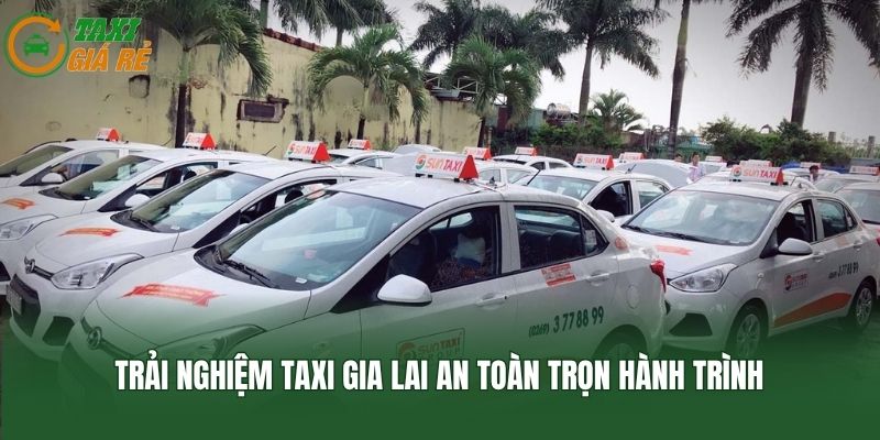 Trải nghiệm taxi Gia Lai an toàn trọn hành trình